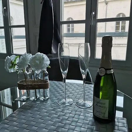 Le Papillon De La Cathedrale - Calme - Jardin - Wifi Appartement Troyes