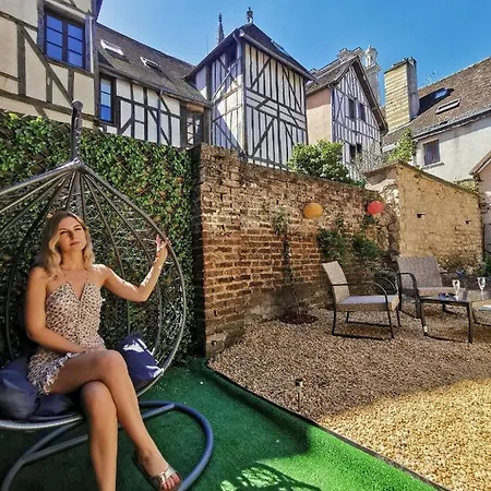 Le Papillon De La Cathedrale - Calme - Jardin - Wifi * Troyes