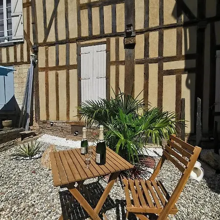 Apartment Le Papillon De La Cathedrale - Calme - Jardin - Wifi *