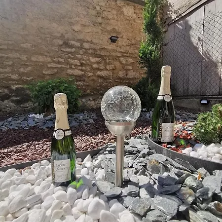 Le Papillon De La Cathedrale - Calme - Jardin - Wifi Apartment Troyes