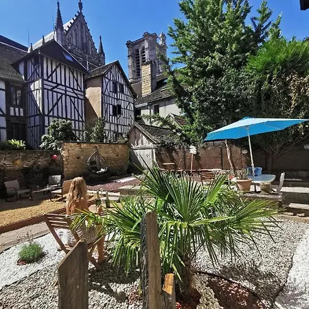 Le Papillon De La Cathedrale - Calme - Jardin - Wifi Troyes