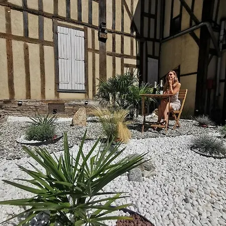 Apartment Le Papillon De La Cathedrale - Calme - Jardin - Wifi