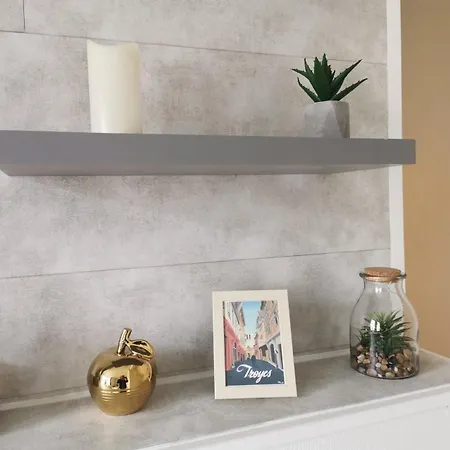 Le Papillon De La Cathedrale - Calme - Jardin - Wifi Apartment Troyes