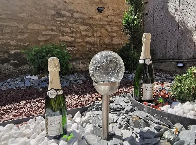 Le Papillon De La Cathedrale - Calme - Jardin - Wifi Apartment Troyes