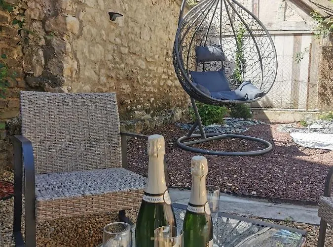 Le Papillon De La Cathedrale - Calme - Jardin - Wifi * Troyes