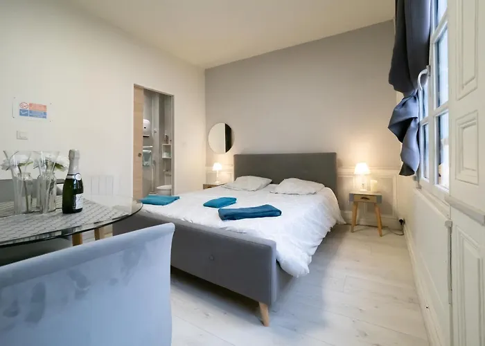 Apartment Le Papillon De La Cathedrale - Calme - Jardin - Wifi Troyes